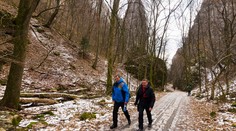 Na Slovensku boli veľké regionálne rozdiely v minimálnej teplote