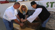 Matečná tlačila prvé „Stupavské zelé“ s chráneným označením pôvodu