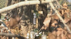 Matka v šoku. Za smrť chlapca z Nitry, ktorého zabil konár stromu, definitívne nik nemôže