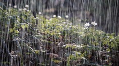 V sobotu bude ešte horúco, počasie sa prudko zmení v noci