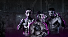 Žilina videla krv i slzy na zimnom štadióne, hokej sa však nehral. Sivák o titul prišiel už na váhe