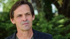 Arborista: Ak stromy začnú prekážať, mesto zväčša pošle pilčíka, ktorý ich oreže ako mäsiar