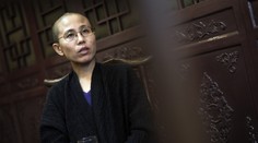 Vdovu po nositeľovi Nobelovej ceny za mier pustili po 8 rokoch z domáceho väzenia