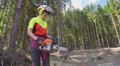 Zuzana rúbe stromy a vedie traktor: Dokazuje, že drevorubačstvo nie je len pre mužov