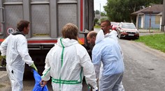 Africký mor ošípaných je na Slovensku v 15 okresoch