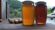 Včelári zažívajú zlý rok. Čo to spraví s cenou medu?