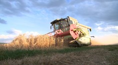 Vyzerá to na slabšiu úrodu: Preceňovanie potravín nás neminie