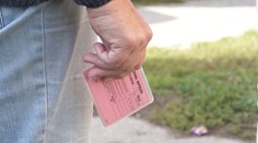 Legendárne ružové vodičáky končia. Ak ich nestihnete vymeniť, hrozí vám pokuta