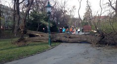 Víkendová víchrica si vyžiadala jednu obeť: Bežkyňu zabil konár