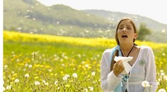 Alergici si od peľu paliny a ambrózie nevydýchnu až do októbra