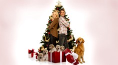 Slováci sa nemajú až tak zle, no nie je to žiadna výhra