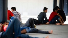 Univerzita Karlova má ponuku pre utečencov