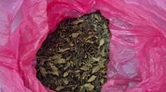 Parádny úlovok gréckych úradov. Na letisku v Aténach zadržali rekordné množstvo drogy