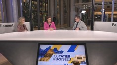 Zákaz spaľovacích motorov zrejme nebude. Nevieme nútiť ľudí, aby si kupovali drahé elektromobily, tvrdí Roth Neveďalová