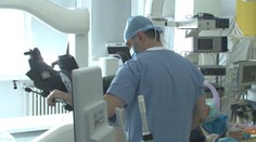 Ide o najčastejší druh rakoviny v Európe. Pripravuje sa plošný skríning karcinómu prostaty