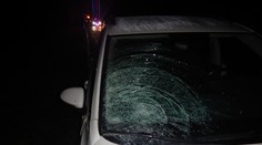 Tragédia na R1 pri odpočívadle Voznica. Tínedžerka (†14) vbehla pod kolesá auta, nemala šancu prežiť