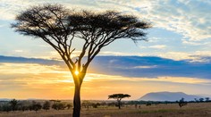 Do pohybu sa dala obrovská trhlina. Afriku môže roztrhnúť na dve časti