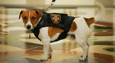 Patron zachraňoval životy a hľadal výbušniny. Za službu vlasti dostal od Zelenského medailu