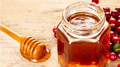 Vzácny „šialený“ med, ktorý navodí eufóriu, ale môže aj zabíjať. Kilogram stojí neuveriteľnú sumu