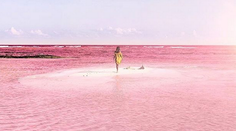 Nádherný prírodný úkaz. Pozrite sa, kde nájdete ružovú lagúnu