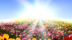 Na Slovensku konečne zavládlo ukážkové slnečné počasie