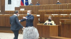 Už mesiace počúvame o nápade, že by sa slovenskému parlamentu hodila parlamentná stráž