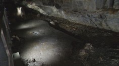 Z Demänovskej ľadovej jaskyne zmizol takmer všetok ľad. Z 1250 kubických ton zostalo už iba desať