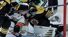 Halák pomohol Bostonu 30 zákrokmi