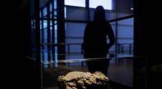 Kuriózny exponát. Londýnske múzeum vystavilo stuhnuté splašky, ktoré upchali potrubie