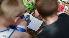 Ľudia žiadajú trest pre rodičov chlapca, kvôli ktorému utratili gorilu