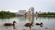 Slovensko čoskoro čaká opäť zmena počasia. Teploty vystrelia k 30°C