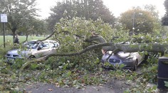 Pri víchrici zahynulo iba 12-ročné dieťa