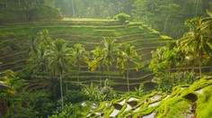 Tragédia na indonézskom ostrove. Pri zosuve pôdy zahynuli dvaja zahraniční turisti