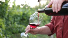 Ktorý druh alkoholu spôsobuje viac tuku na bruchu – víno, pivo alebo liehoviny?