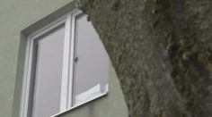 Polícia hľadá osobu, ktorá strieľala do Myjavskej polikliniky. Guľka takmer zabila ženu