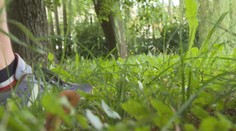 Dospelé kliešte síce zaliezli, ale útočia na nás nebezpečnejšie nymfy. Prenášajú vážne ochorenia