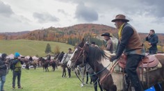 Slovensko má oficiálne prvú sieť konských trás. Jej hlavná tepna nesie meno po výnimočnom plemene