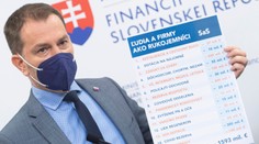 I. Matovič: Začínam mať pocit, že SaS sa premenuje zo strany odborníkov na stranu rozbíjačov vlády
