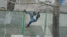 V Japonsku sa stala hitom aplikácia, vďaka ktorej aj opilci trafia domov