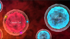 Slovenskí vedci prispeli objavom do výskumu rakoviny