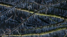 Čakajú nás chladné dni a ešte mrazivejšie noci. Niekde až -23 stupňov
