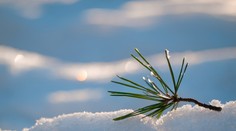 Slovensko cez víkend čaká snehová nádielka