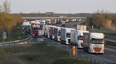 Poľsko pre slintačku a krívačku sprísňuje kontroly na hraniciach so Slovenskom, Českom a Nemeckom