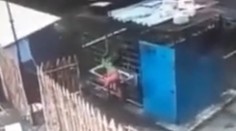 VIDEO: Medveď v klietke napadol ženu. S ťažkými poraneniami skončila v nemocnici