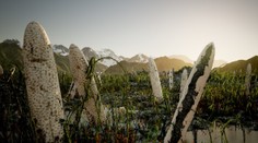 Vedci objavili doteraz neznámu formu života. Gigantické organizmy na Zemi dominovali dávno pred dinosaurami