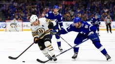 Ako by vyzeral spoločný hokejový tím? Novinár navrhol česko-slovenskú zostavu na Svetový pohár