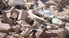 Maroko vyhlásilo po zemetrasení trojdňový štátny smútok