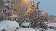 Snehová fujavica na východe: V Prešove vyhlásili stav nebezpečia, v Košiciach kalamitnú situáciu