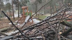 Zničené sú výbehy, ploty aj zázemie. Košická ZOO sa spamätáva zo smršte