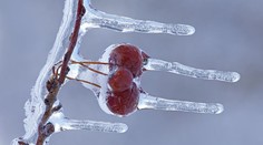 Predpoveď počasia: Mrznúť začne možno v pondelok